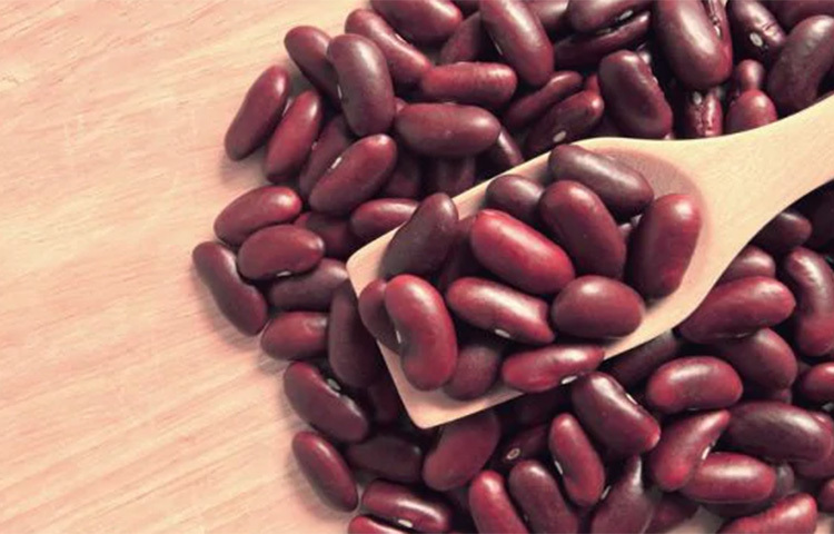 ক্যালশিয়াম, ম্যাগনেশিয়ামের মতো খনিজে সমৃদ্ধ রাজমায় থাকে প্রচুর পরিমাণ প্রোটিন। যা ওজন কমাতে ও হার মজবুত করতে সাহায্য করে। ছবি: সংগৃহীত