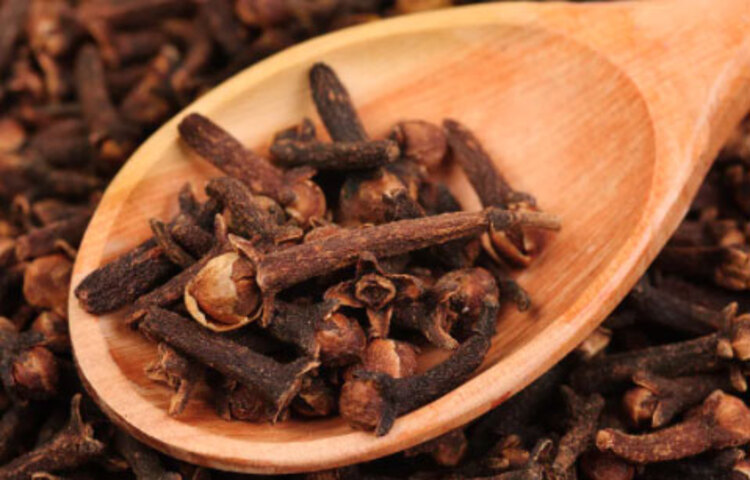 তুলোর ছোট ছোট বল পিপারমিন্ট তেলে ডুবিয়ে ঘরের বিভিন্ন স্থানে রাখুন। পিপারমিন্টের গন্ধ ইঁদুর সহ্য করতে পারে না!