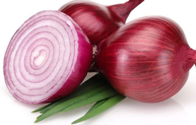 পঁচা পেঁয়াজের গন্ধ ইঁদুরের যম! তবে এই গন্ধে আপনার টেকাও দায় হতে পারে! কাজেই, চাইলে টাটকা পেঁয়াজও ইঁদুর উপদ্রুত জায়গায় রাখতে পারেন এবং নিয়মিত পরিবর্তন করুন।