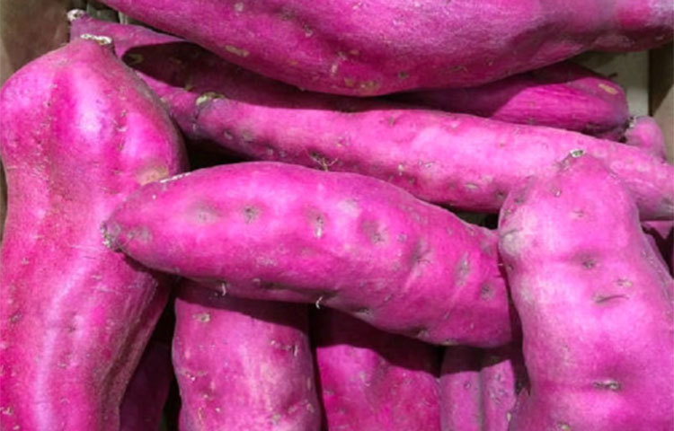 রাঙা আলুতে ভিটামিন বি-৬ থাকায় হার্টের পক্ষে অত্যন্ত ভাল। হৃদরোগে আক্রান্ত হওয়ার ঝুঁকি কিছুটা কমতে পারে যদি লাল আলু খাওয়া যায়। শুধুই ভিটামিন বি নয় ভিটামিন সি থাকায় হাড় মজবুত করে।