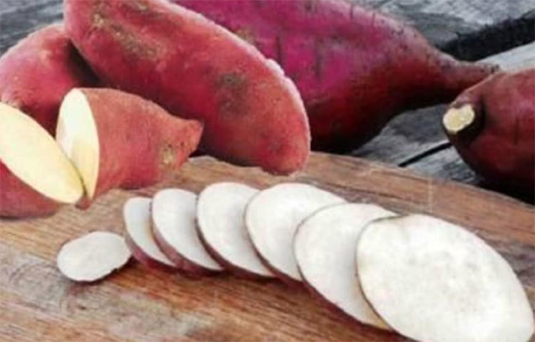 লাল আলু ব্লাড সুগার নিয়ন্ত্রণে রাখে। লাল আলুর স্বাদ মিষ্টি হলেও রক্তে শর্করার মাত্রা কমাতে  এই সবজির কোনো বিকল্প নেই। রক্তে শর্করার মাত্রা নিয়ন্ত্রিতও করে লাল আলু।