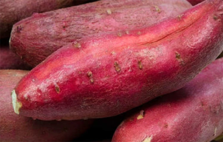 মানসিক অবসাদ বা স্ট্রেস কমায় লাল আলু, হৃদপিন্ডের পেশীর কর্মক্ষমতা বাড়ায়।