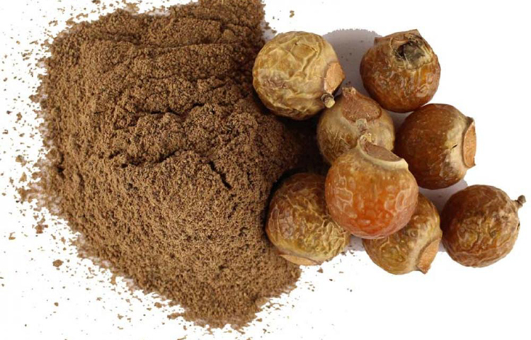 রিঠা: চুলের সৌন্দর্য বাড়াতে রিঠা অত্যন্ত কার্যকরী। খুসকির সমস্যা দূর করার ক্ষেত্রেও অনেক কার্যকরী। রিঠা পাউডার বা রিঠা সিদ্ধ পানি চুলের ত্বকে লাগিয়ে ঘণ্টা খানেক রেখে তারপর ভালো করে ধুয়ে ফেলুন। এভাবে সপ্তাহে অন্তত দুবার রিঠার জল মাথায় মাখলে খুসকির সমস্যায় দ্রুত উপকার পাবেন।