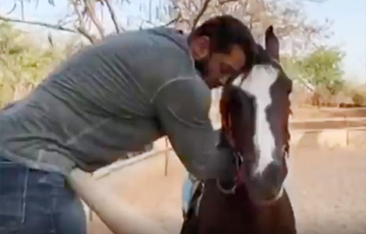 অর্পিতা খান শর্মা, সোহেলের ছেলে নির্ভান, জ্যাকুলিন ফার্নান্দেজদের সঙ্গে আপাতত সেখানেই রয়েছেন বলিউড ভাইজান।