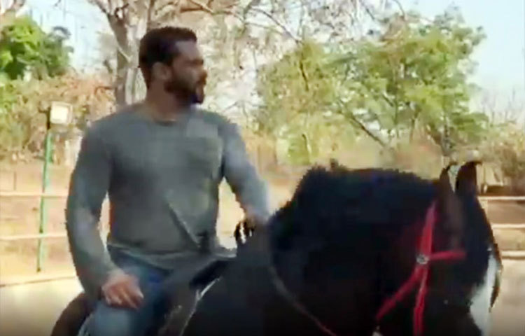 পরিবারের অন্যদের পাশাপাশি প্রিয় ঘোড়ার সঙ্গেই বেশিরভাগ সময় কাটছে সালমানের।