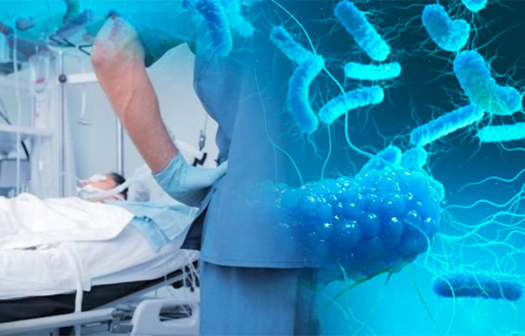 ইতিমধ্যেই সালমোনেলা ব্যাকটেরিয়ার সংক্রমণ ঘটেছে আমেরিকার ৩১টি রাষ্ট্রে। এই ব্যাকটেরিয়ার সংক্রমণে অন্তত শত শত মানুষ অসুস্থ হয়ে পড়েছেন। এঁদের অনেকেই হাসপাতালে চিকিৎসাধীন। এই সংক্রমণের উৎস এবার পেঁয়াজ! এমনটাই মনে করছেন বিশেষজ্ঞরা।