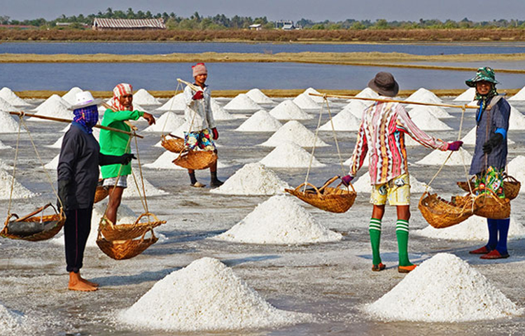 যতটা লবণ খাওয়া উচিত: আমেরিকান হার্ট অ্যাসোসিয়েশন’য়ের স্বাস্থ্য গবেষকদের মতে, পূর্ণ বয়স্ক মানুষের দৈনিক দুই চা-চামচ লবণ খাওয়া দরকার। ১০ গ্রাম লবণে ৪০০ মি.গ্রা. সোডিয়াম থাকে যা প্রাপ্ত বয়স্কদের জন্য প্রযোজ্য।