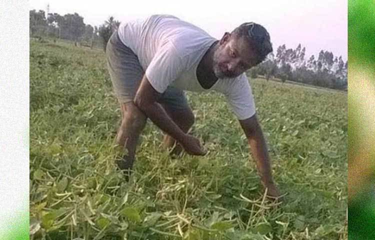 ২০১৫ সালে মায়ের যত্ন নেওয়ার জন্য তিনি অন্ধ্রপ্রদেশে নিজের বাড়িতে ফিরে আসেন। মরিঙ্গা পাতার উপর রিসার্চ শুরু করেন।