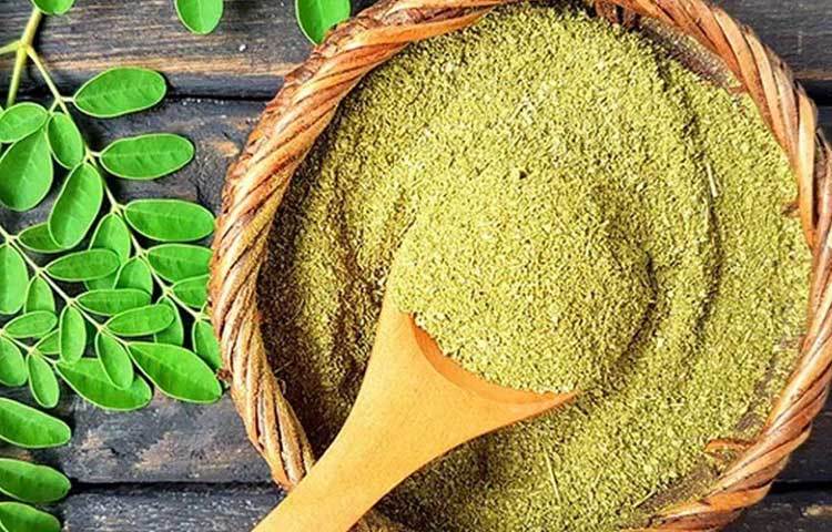 মরিঙ্গার সঙ্গে আরও কিছু হার্বস দিয়ে মরিঙ্গার পাউডার বানান তিনি। সেগুলো স্থানীয়দের মধ্যে দিতে শুরু করেন।