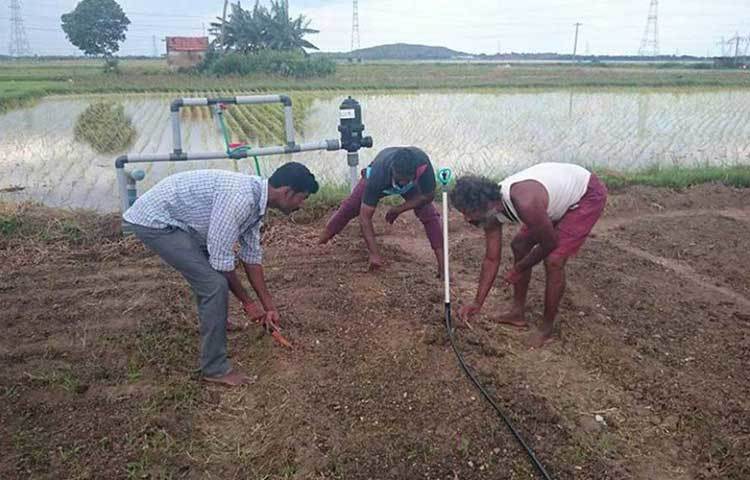 আশ্চর্যজনক ভাবে খুব ভালো কাজ দেয় সেগুলো। তখনই একটা বিষয় নাড়া দেয় তার মনে। ওষুধ তো তৈরি হয় এই সমস্ত গুল্ম থেকেই। তা হলে অহেতুক ওষুধের উপর নির্ভরশীল না হয়ে দৈনন্দিন খাদ্যাভাসে জোর দিলেই তো অসুখ এড়ানো যায়!
