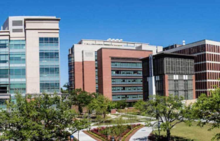 ক্যারোলিনা মেডিক্যাল ইউনিভার্সিটিতে তিনি রিসার্চ শুরু করেন। প্রচুর নতুন নতুন ওষুধ তৈরি করেন। আর তার জন্য প্রচুর পুরস্কারও পান। কিন্তু একটা সময় এই গবেষণার প্রতি তার ধারণা বদলে যায়।