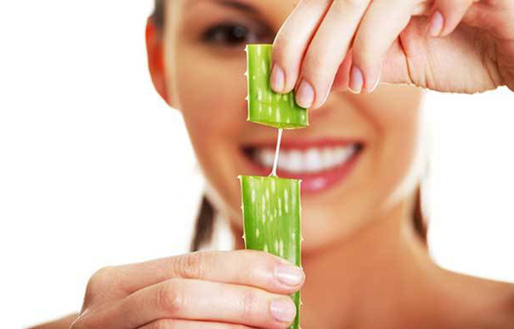 অ্যালোভেরা: বাড়িতে অ্যালোভেরার গাছ থাকলে ভাল, না হলে দোকান থেকে কেনা অ্যালোভেরার জেলও চলবে। মুখে অ্যালোভেরা জেল লাগিয়ে শুকোনো পর্যন্ত অপেক্ষা করুন। তারপর ঠান্ডা জলে ধুয়ে নিন। তবে আপনার যদি সেনসিটিভ স্কিন হয়ে থাকে তাহলে অ্যালোভেরা পাতার সবুজ অংশ সরিয়ে জেলটা পানিতে ভিজিয়ে রাখুন তারপর সেটা ব্যবহার করুন। ছবি: সংগৃহীত