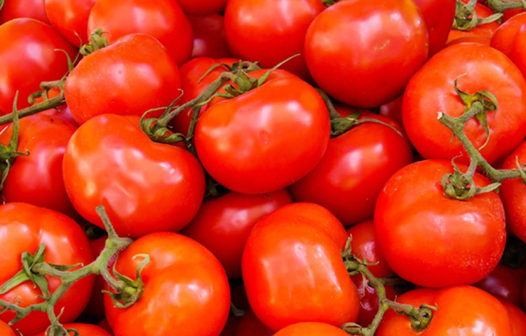 টোমাটো: টোমাটো মুখের বাড়তি তেল শুষে নিয়ে ব্লাকহেডস, ব্রণ দূরে রাখে। একটা মাঝারি টোমাটো আধখানা করে কেটে মুখে মাখুন। ১৫ মিনিট রেখে ধুয়ে ফেলুন। সময় বার করে সপ্তাহে একদিন করলেই দারুণ ফল পাবেন। ছবি: সংগৃহীত