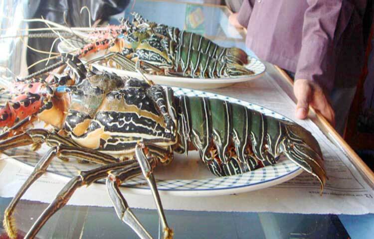 এখানে এলে দেখা মিলবে বিভিন্ন প্রজাতির মাছের। ছবি: জাগো নিউজ