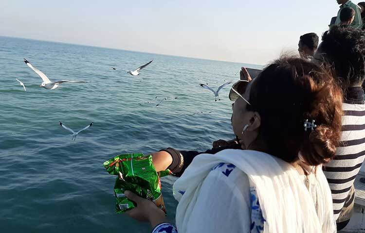 সেন্টমার্টিন ভ্রমণে সরকার যেসব বিধি-নিষেধ দিয়েছে তার মধ্যে একটি ‘জাহাজ থেকে পাখিকে চিপস বা অন্য কোনো খাবার খাওয়ানো যাবে না’। সরকারের এ নিষেধাজ্ঞা মানছেন না সেন্টমার্টিন ভ্রমণকারীরা। ভ্রমণের সময় এ বিষয়টি সবার মেনে চলা উচিত। ছবি: জাগো নিউজ