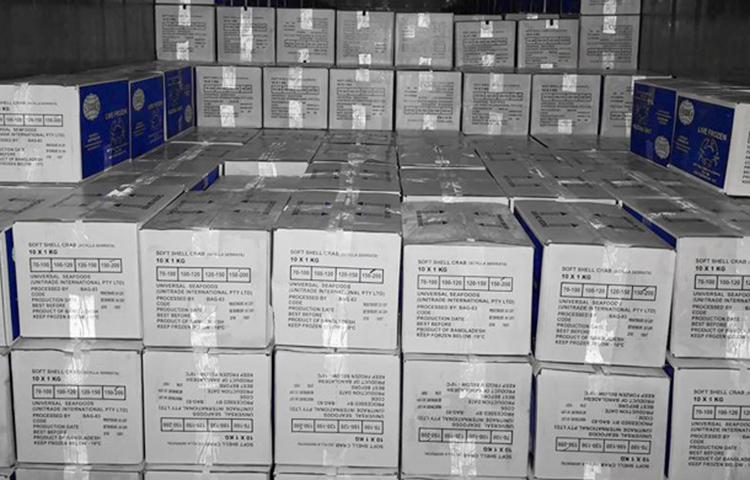 তিন মাস কাঁকড়া পাওয়া যাবে না। পাশাপাশি আরও দুই মাস সুন্দরবনে প্রবেশে নিষেধাজ্ঞা। সব মিলিয়ে ছয় মাস বন্ধ থাকে, আর ছয় মাস পুরোদমে ব্যবসা চালু থাকে। চার বছর আগে এ প্রজেক্ট শুরু হলেও তিন বছর আগে থেকে ফার্মের কার্যক্রম চালু হয়েছিল।