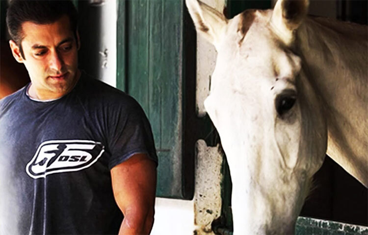 পোষ্যদের থাকার জন্য আলাদা জায়গাও রয়েছে এখানে। রয়েছে আস্তাবলও। এই আস্তাবলে পাঁচটি ঘোড়া রয়েছে। শোনা যায়, এই খামারবাড়িটি বানাতে ৮০ কোটি রুপি খরচ করেছেন সালমান। ছবি: সংগৃহীত