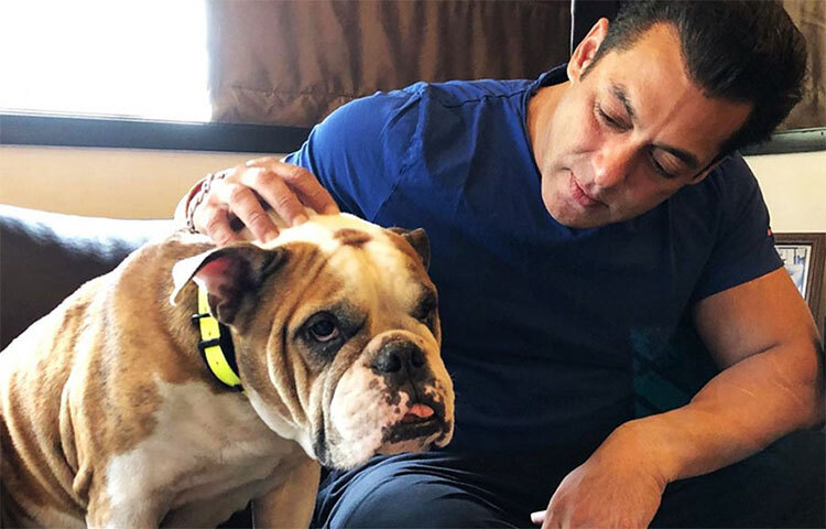 পানভেল ছাড়াও মুম্বাইয়ের গোরাই সমুদ্রসৈকতের কাছে একটি বাংলো কিনেছেন অভিনেতা। পাঁচ বেডরুম বিশিষ্ট এই বাংলোতে রয়েছে জিম, বিশাল সুইমিং পুল, থিয়েটার এবং বাইক রাখার আলাদা জায়গা। ছবি: সংগৃহীত