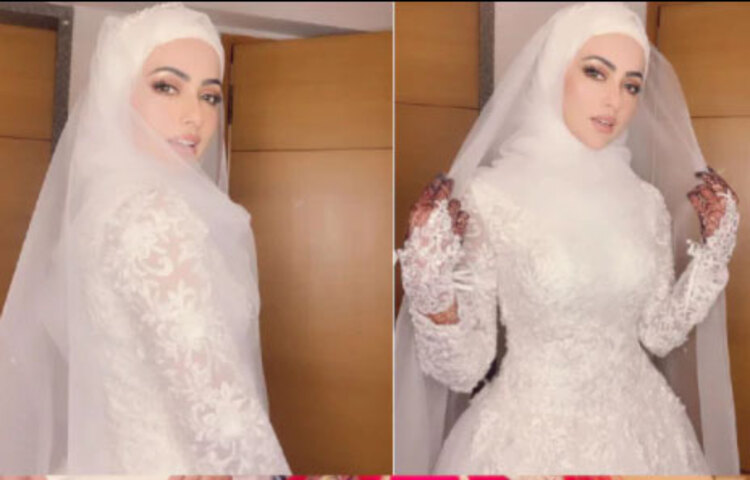 সাদা গাউনে একাধিক পোশাকে একাধিক ছবিও শেয়ার করেছেন সানা। বোঝাই যাচ্ছে, স্বামীর সঙ্গে চুটিয়ে সংসার করছেন। ছবি: সংগৃহীত