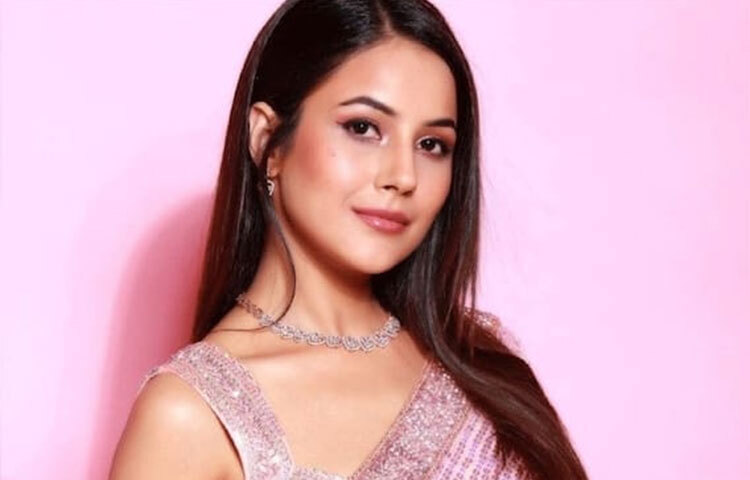 এতোদিন শেহনাজ গিলকে ছোট পর্দায় দেখা যেত। কিংবা মিউজিক ভিডিওতে। তবে এবার আসছেন নতুন রূপে বড়পর্দায়। ছবি: সংগৃহীত