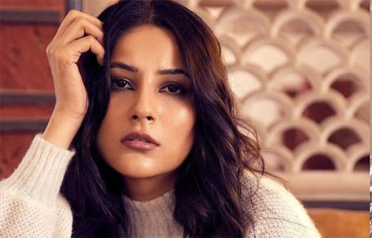 সম্প্রতি ইন্টারনেটে পাপারাৎজিদের পক্ষ থেকে একটি ভিডিও পোস্ট করা হয়েছে। যেখানে অভিনেত্রী শেহনাজ গিলকে তার আগামী ছবির সম্পর্কে কিছু বলতে বলা হচ্ছে। ছবি: সংগৃহীত