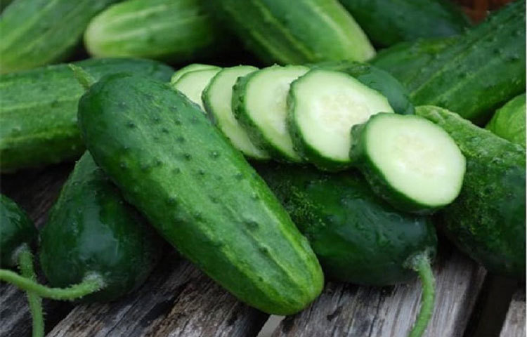 এক নয় একাধিক গুণ রয়েছে শসাতে। শসা রোগী থেকে বৃদ্ধ, শিশু থেকে যুবক, সবাই বিনা বাধায় খেতে পারেন।