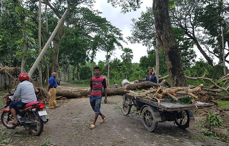 জেলার তালা সদর থেকে সাতক্ষীরা জেলা সদরের যোগাযোগের বাইপাস সড়ক পাটকেলঘাটা-তালা সড়ক। ১৩ কিলোমিটার এই সড়কে শতাধিক গাছ পড়ে রাস্তা বন্ধ হয়ে গেছে। ছবি: আকরামুল ইসলাম