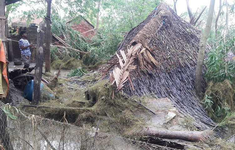 তালা উপজেলা নির্বাহী কর্মকর্তা মো. ইকবাল হোসেন জানান, সড়কের গাছগুলো সরিয়ে নিতে আমরা রাত থেকেই কাজ শুরু করেছি। ইসলামকাটি সড়কটিতে বড় বড় গাছসহ রাস্তার অর্ধেক উপড়ে গেছে। সেজন্য একটু দেরি হচ্ছে। আমরা দ্রুততম সময়ের মধ্যেই যোগাযোগ ব্যবস্থা সচল করার চেষ্টা করছি। ছবি: আকরামুল ইসলাম