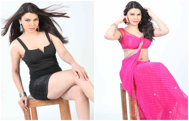 শাড়িতেও ও ওয়েস্টার্ন পোশাকে সারলিন চোপড়া।