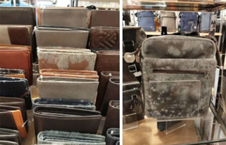 যেমন দেখা গেল মালয়েশিয়ার এই মলে। ৫০ দিন পর যখন শপিং মলটি খুললো তখন তার ভিতরের অবস্থা দেখে চমকে ওঠার মতো।