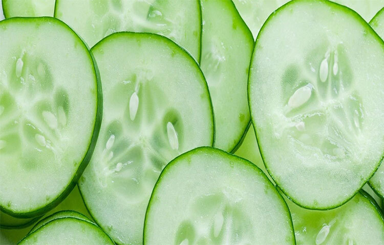 শসা সুস্বাদু একটি খাবার। আবার স্বাস্থ্যকরও। এতে রয়েছে প্রচুর পরিমাণে ভিটামিন কে এবং অ্যান্টি-অক্সিড্যান্ট। কিন্তু সঠিক সময়ে ও পরিমাণে না খেলে বিভিন্ন পার্শ্বপ্রতিক্রিয়া দেখা দিতে পারে। হতে পারে বদহজমও। ছবি: সংগৃহীত