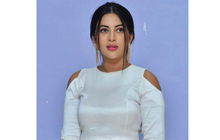 ২০২০ সালে অফশার ভোজপুরি ছবি ‘মেহন্দি লাগা কে রাখনা ৩’ তুমুল জনপ্রিয় হয়েছিল। খেসারির সঙ্গে তার রসায়ন নজর কেড়েছিল দর্শকদের। সে বছরই অ্যাকশন-ড্রামা ‘ঘাতক’-এ পবনের পাশে ছিলেন সহর। ছবি: সংগৃহীত