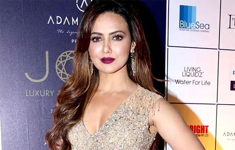 হিন্দি, তামিল, তেলুগু মিলিয়ে মোট ৫টি ভাষার সিনেমার সঙ্গে টেলিভিশনের পর্দা এবং বিজ্ঞাপনে কাজ করার পর আচমকাই সানা জানিয়ে দেন, এ সবে ইতি টানছেন। ছবি: সংগৃহীত