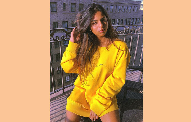 এখন অনুরাগীদের একটাই প্রশ্ন, কবে শাহরুখ-গৌরী কন্যার অভিনয় বড়পর্দায় দেখা যাবে?