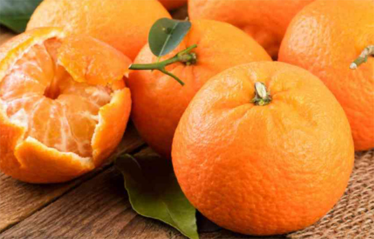 কমলালেবুতে থাকা ভিটামিন সি শুধু রোগ প্রতিরোধ করতে সাহায্য করে তাই নয়, এটি শরীরের ক্লান্তি কমাতেও সাহায্য করে। ঘুমোতে যাওয়ার আগে তাই কমলালেবু খেলে ঘুম ভালো হবে। ছবি: সংগৃহীত