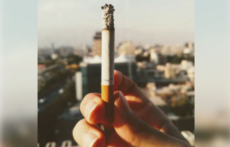 এই যখন অবস্থা, ঠিক তখনই আতঙ্কের মধ্যেও আশার আলো দেখিয়েছেন একদল গবেষক। বললেন, ধূমপানের ফলে যাঁদের ফুসফুস চরমভাবে ক্ষতিগস্ত, তাঁদের রোগমুক্ত নতুন জীবনের স্বাদ দিতে পারে লাল টকটকে পাকা টমেটো এবং সতেজ আপেল। জন হপকিন্স ব্লুমবার্গ স্কুল অফ পাবলিক হেলথের গবেষকদের দীর্ঘ গবেষণায় উঠে এসেছে আরও একটি গুরুত্বপূর্ণ তথ্য। ১০ বছর বা তারও আগে ধূমপান ছেড়ে দিয়েছেন, এমন প্রায় ৫০ জনকে নিয়ে একটি সমীক্ষা করেছিলেন তারা। দেখা গেছে, নিয়মিত টমেটো এবং আপেল খাওয়ার ফলে তাদের ফুসফুস থেকে ধূমপানের ফলে ক্ষতির ছাপ আশ্চর্যজনকভাবে মুছে গেছে!