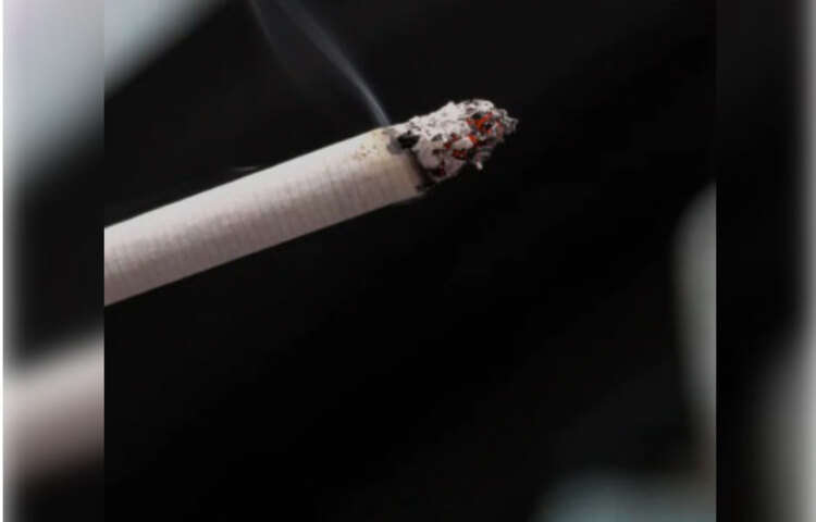 সেই গবেষণারই রিপোর্ট হাতে এসেছে সম্প্রতি। তবে শুধু আপেল বা টমেটোই নয়, গবেষকরা বলছেন, যে কোনো প্রাপ্তবয়স্ক যদি প্রতিদিন গড়ে তিনটি করে তাজা ফল খান, তা হলে তাদের ফুসফুস অন্যদের তুলনায় প্রায় ৭০ শতাংশ ভালো থাকবে। তবে এক্ষেত্রে অবশ্যই সবথেকে ভালো কাজ দেবে টমেটো ও আপেল। কিন্তু প্রক্রিয়াজাত ফলে এই সুফল মিলবে না বলে স্পষ্ট জানিয়ে দিয়েছেন গবেষকরা।