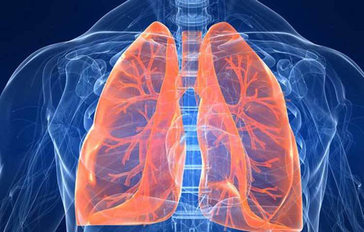 ধূমপান বন্ধের কয়েক মাস পর: ধূমপান বাদ দেয়ার কয়েকমাস পরেই দেখা যায় শরীরে রক্ত চলাচল অনেক ভালোভাবে হচ্ছে। আর আগের তুলনায় ফুসফুস শতকরা ৩০ ভাগ বেশি অক্সিজেন গ্রহণ করতে পারে এবং কাশিভাবও কমতে শুরু করে।