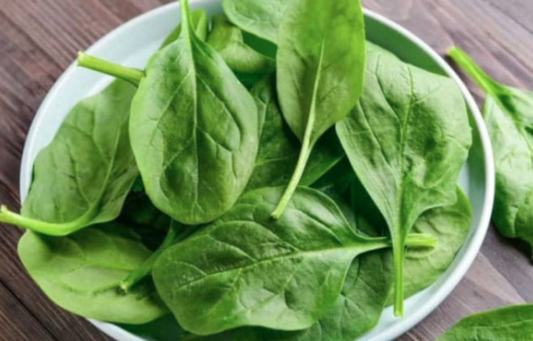 পালং শাক বা এধরণের সবুজ শাক: পাতায় বেশি পরিমাণে পুষ্টি থাকায় আপনার লিভারে ক্ষমতা বাড়ায়। আর লিভারের ক্ষমতা বাড়লেই কমে যায় শরীরে নিকোটিনের চাহিদা। পালং ছাড়াও অ্যাসপারাগস, বিট এবং চা থেকেও এই পুষ্টি পাওয়া সম্ভব।