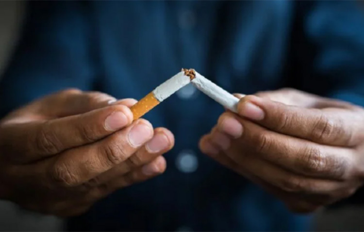 এক্ষেত্রে যিনি ধূমপান করছেন, তিনি তো নিজের বিপদ ডাকছেনই, যিনি ধূমপান করছেন না কিন্তু ফুসফুসে ধোঁয়া প্রবেশ করছে অর্থাৎ প্যাসিভ স্মোকার, তারও বিপদ বাড়ছে। ফলে নিজের জন্য শুধু নয়, আশপাশের মানুষজনের জন্য, পরিবারের জন্যও এই অভ্যেস ত্যাগ করা প্রয়োজন। ছবি: সংগৃহীত