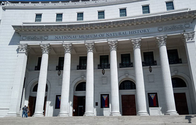 বিশালাকার এই খুলি আপাতত উরুগুয়ের মন্টেভিডিয়োর ন্যাশনাল মিউজিয়াম অব ন্যাচারাল হিস্ট্রি-তে রাখা রয়েছে।