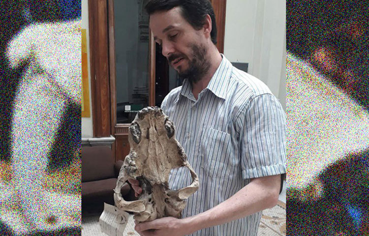 যার ভয়ে একসময়ে জড়োাসড়ো হত বড় বড় মাংসাশী প্রাণীরাও। সাধারণত যে সমস্ত তৃণভোজী প্রাণীকে এখনকার বাঘ-সিংহেরাও কুপোকাত করতে পারে না, তাদেরও নিমেষে কুপোকাত করে দিত এরা।