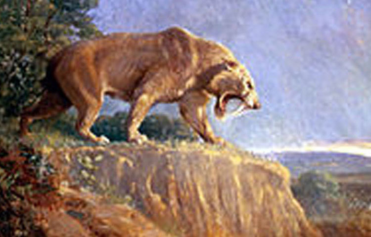 রিকার্দো প্রাদেরি নামে গবেষক ১৯৮৯ সালে সেপ্টেম্বরে দক্ষিণ উরুগুয়ে থেকে বিশালাকার ওই প্রাণীর খুলি খুঁড়ে বের করেছিলেন। সম্প্রতি সেই প্রাণীর অস্তিত্ব নিয়ে জার্নাল অ্যালকেরিঙ্গাতে একটি প্রবন্ধ প্রকাশিত হয়েছে।