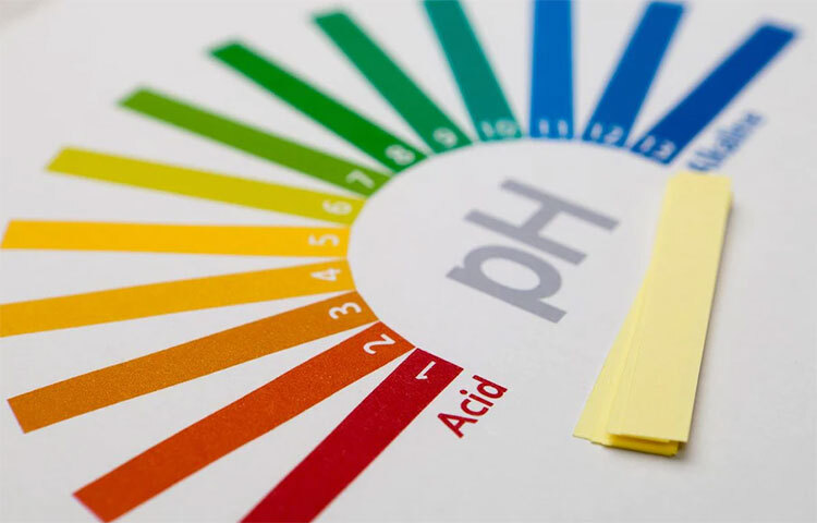 মানুষের পাকস্থলীতে প্রতিদিন ২ লিটার অ্যাসিড তৈরি হয়, যা এতই অ্যাসিডিক যে ধাতুও এতে গলে যেতে পারে। এ অ্যাসিড খাবার হজমে সাহায্য করে, এটি পাকস্থলীতে গঠিত হজম রস হিসেবে বিবেচিত হতে পারে। এই হাইড্রোক্লোরিক অ্যাসিড পটাসিয়াম ক্লোরাইড এবং সোডিয়াম ক্লোরাইড দিয়ে গঠিত। পাকস্থলীতে হাইড্রোক্লোরিক অ্যাসিডের ঘনত্ব শতকরা ০.৫ ভাগ। ছবি: সংগৃহীত