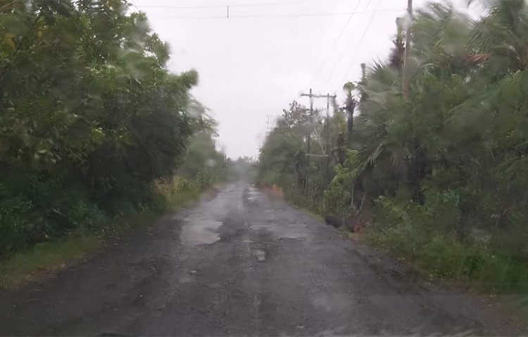 বেলা বাড়ার সঙ্গে সঙ্গে বাড়ছে বৃষ্টিপাতের পরিমাণও।