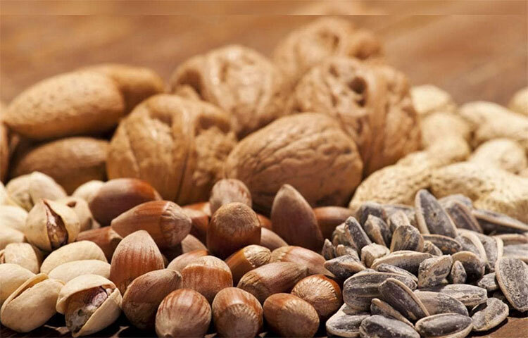 বিভিন্ন ধরনের বাদামে প্রচুর পরিমাণে আয়রন আছে। তাই রক্ত স্বল্পতা দূর করতে ডায়েটে প্রচুর পরিমাণে বাদাম রাখুন। এছাড়াও এতে আছে প্রচুর স্বাস্থ্যকর স্নেহপদার্থ ও প্রোটিন। ছবি: সংগৃহীত