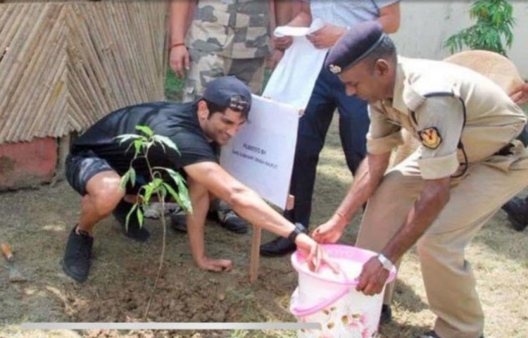 ইতিমধ্যেই সুশান্তের দিদি অভিনেতার অনুরাগীদের কাছে বৃক্ষরোপণের বার্তা পৌঁছে দিয়েছেন। ১৩ সেপ্টেম্বর সকাল ৮টা থেকে রাত ৮টা পর্যন্ত এই কর্মসূচি চলবে। সোশ্যাল মিডিয়ায় চলছে তার প্রচার।