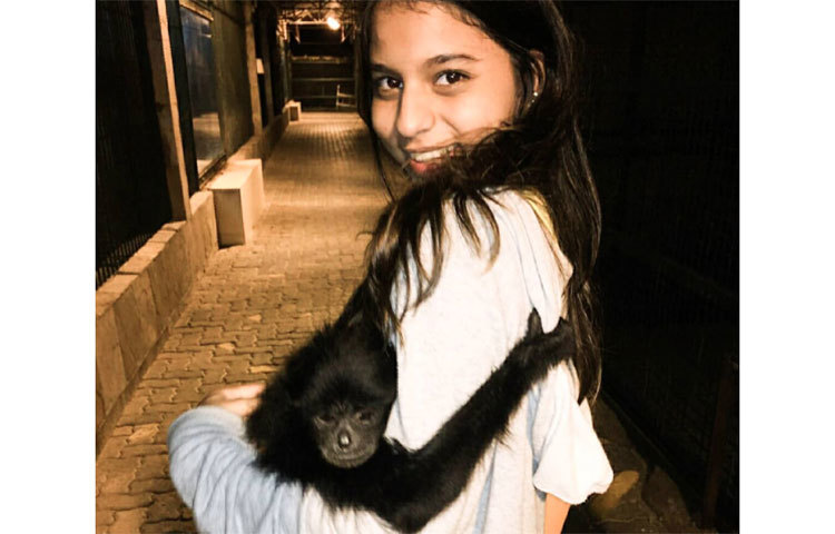 বানরের সাথে আনন্দের সময় কাটাচ্ছেন সুহানা।