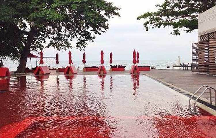 লাইব্রেরি পুল: এই পুলের জলের রং একেবারেই আলাদা। গাঢ় লাল। তাইল্যান্ডের কো সামুইয়ে অবস্থিত একটি হোটেলে এই পুল রয়েছে। কমলা, হলুদ এবং লাল মোজাইকের কারণে পুলের জলের রং সম্পূর্ণ লাল দেখায়।