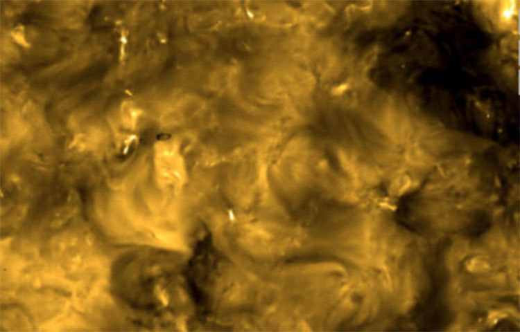 ১৬ জুলাই ওই অরবিটার সূর্যের সবথেকে কাছাকাছি পৌঁছে যায়। আর এই দিনটির জন্য অনেক আগে থেকেই কাউন্টডাউন শুরু করে দিয়েছিলেন নাসা ও ইএসএ’র মহাকাশ বিজ্ঞানীরা। ছবি: এএফপি